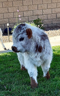 Load image into Gallery viewer, Lexi Lane Micro Mini Heifer $50,000.00