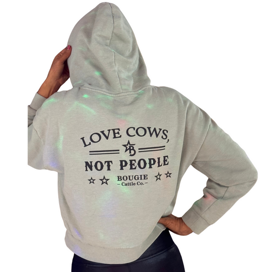 Highland on Sage Hooded Sweatshirt