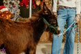 Load image into Gallery viewer, Chip Mini Black Donkey. 6900.00