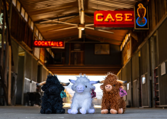 Stuffed Highland Cows complete with the Bougie Ear Tag