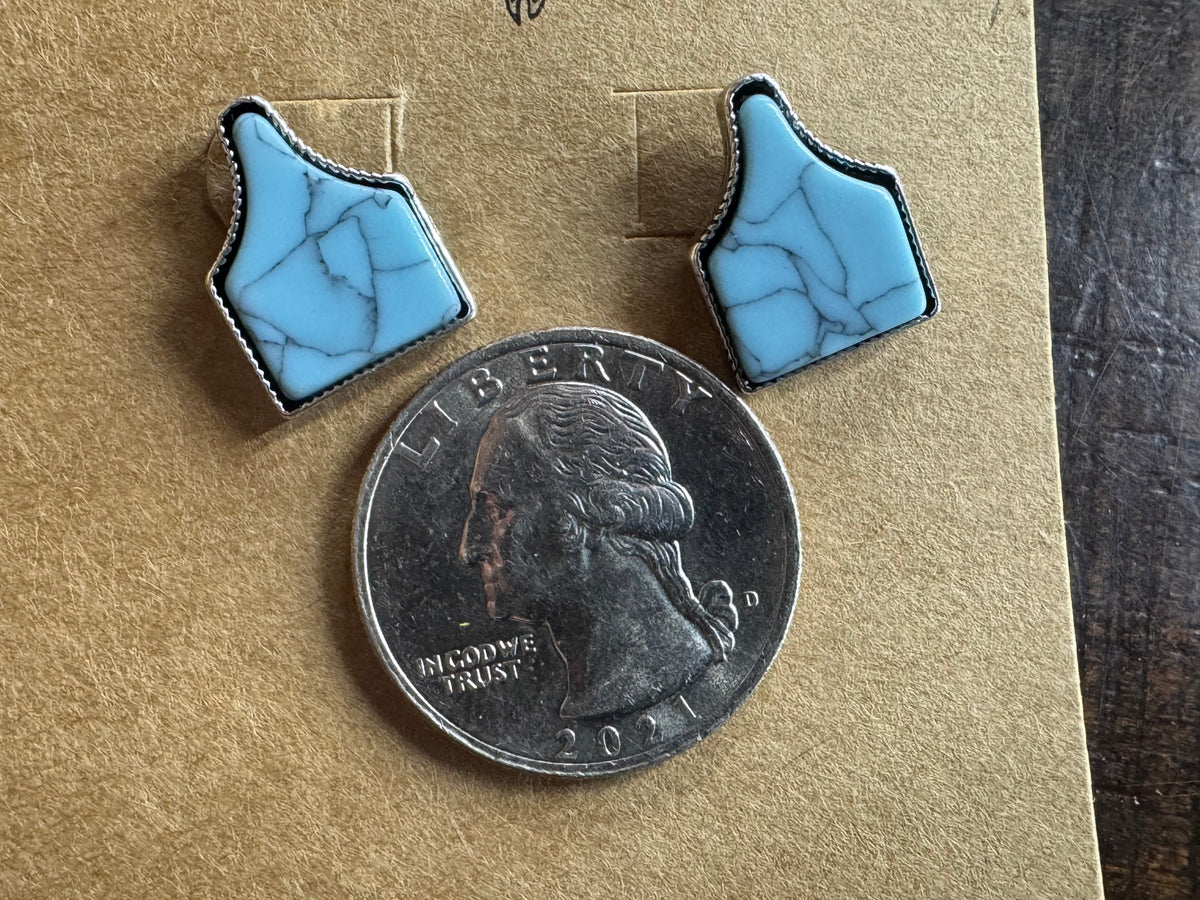 Ear Tag Studs