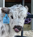Load image into Gallery viewer, Bandit Mini/Mid Size Bull/Steer $12,500.00