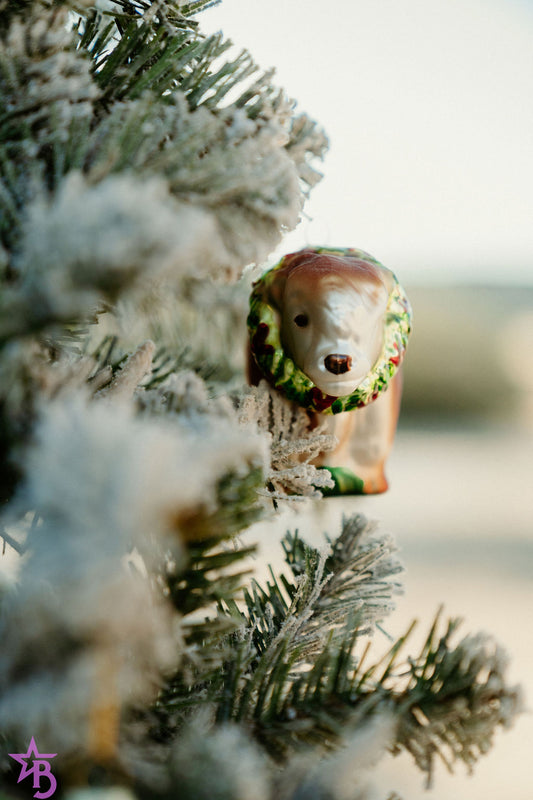 Maximus the Highland Bull Glass Ornament | Bougie Cattle Company Exclusive