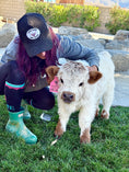 Load image into Gallery viewer, Lexi Lane Micro Mini Heifer $50,000.00
