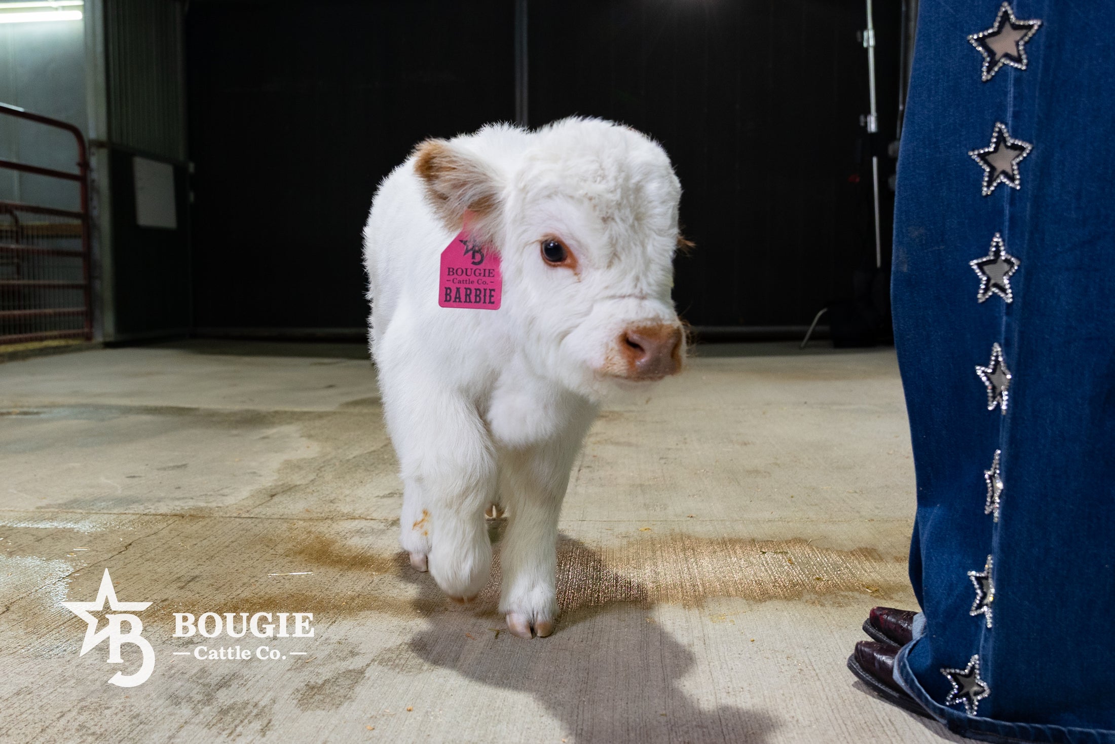 Barbie – Micro/Mini High-Park Heifer