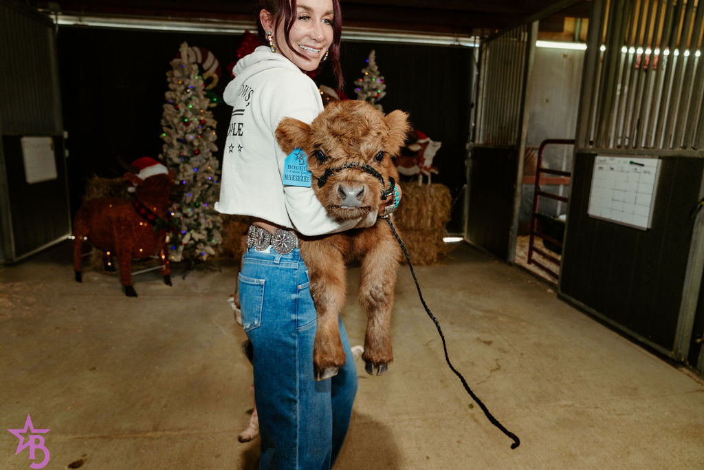 MilkShake Micro/ Mini Bull  Silver Splendor & Roxy $35,000.00