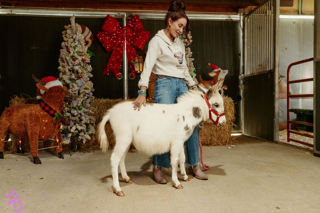 Josephine  Mini Paint Jennette Donkey. $10,000.00