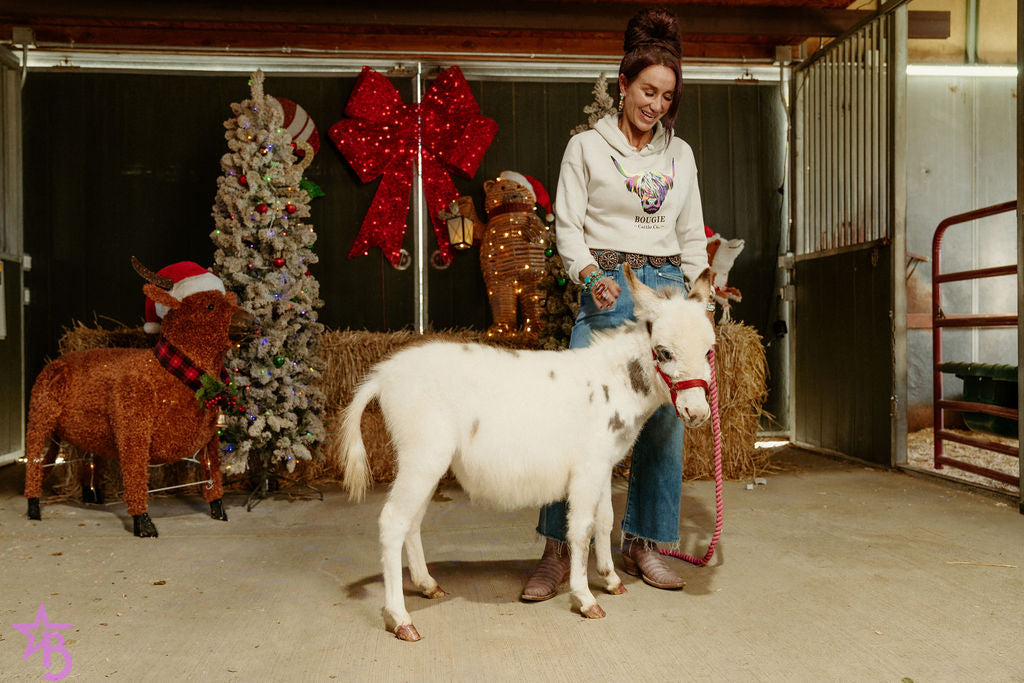 Josephine  Mini Paint Jennette Donkey. $10,000.00