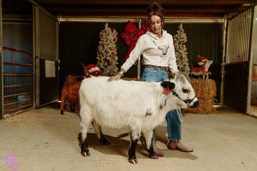 Jellybean- WEANED Polled Mini/Mid Size Heifer $15,000.00