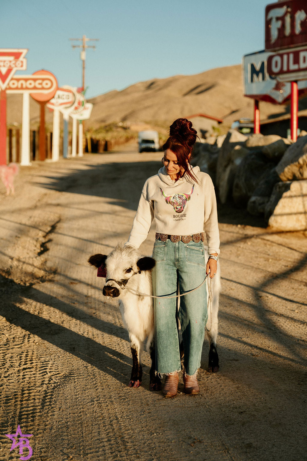 Jellybean- WEANED Polled Mini/Mid Size Heifer $15,000.00