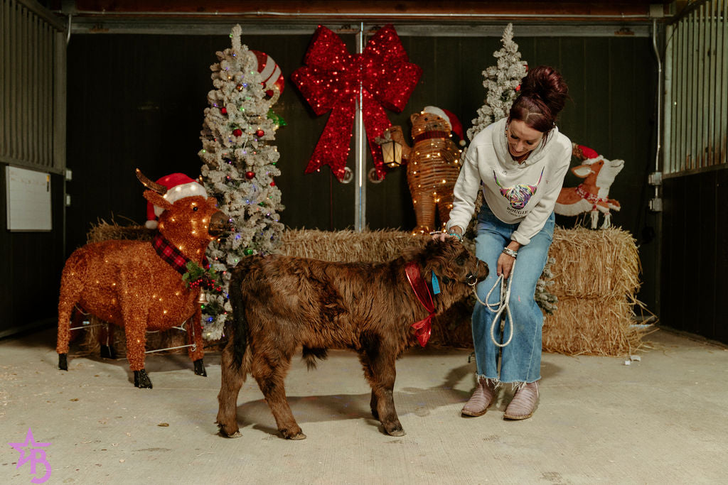 Licorice  Mini/Mid POLLED Bull-Steer $10,500.00