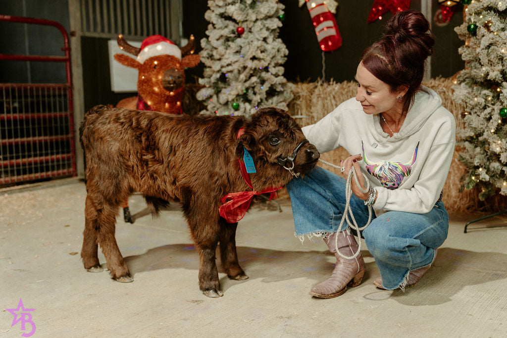 Licorice  Mini/Mid POLLED Bull-Steer $10,500.00