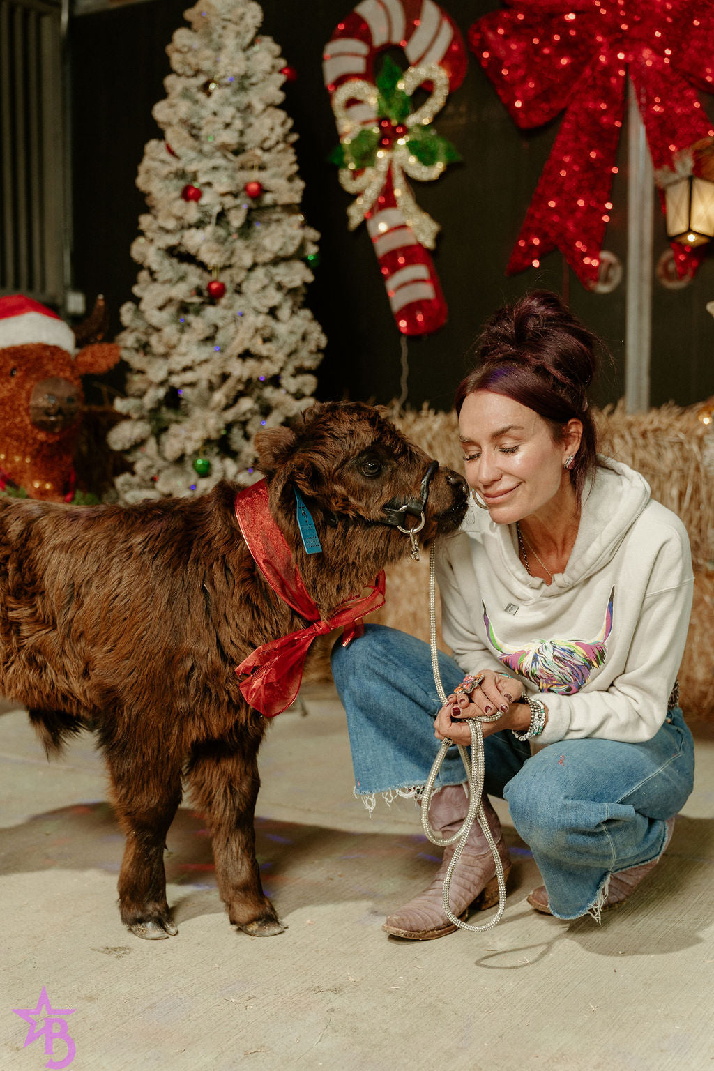 Licorice  Mini/Mid POLLED Bull-Steer $10,500.00