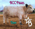 Load image into Gallery viewer, Barbie – Micro/Mini High-Park Heifer
