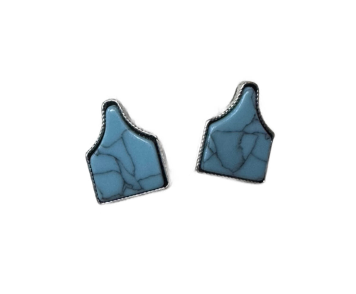 Ear Tag Studs