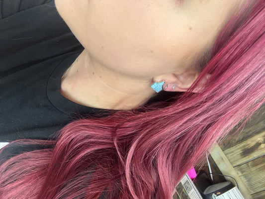 Ear Tag Studs