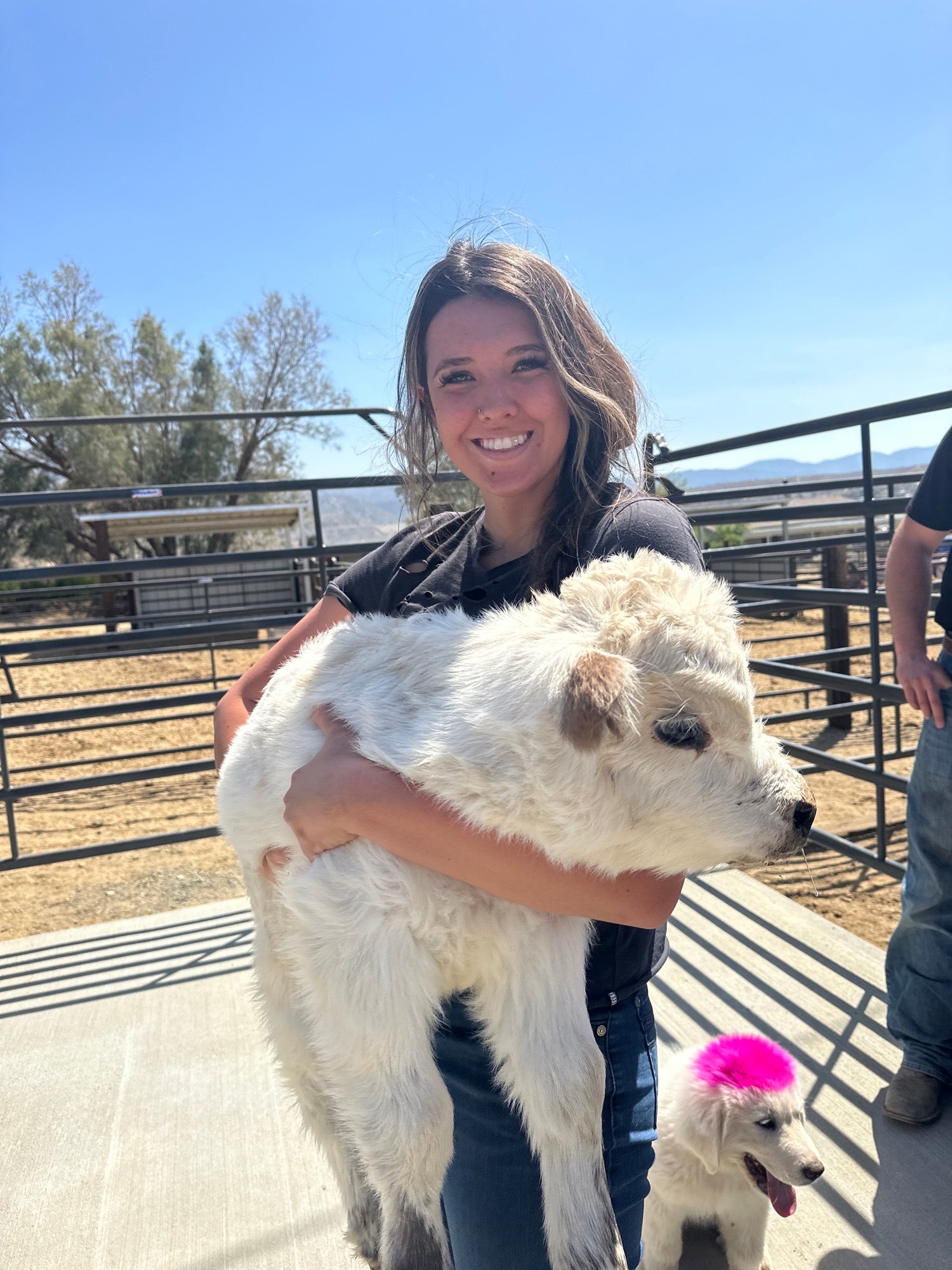 Bottle Feed the Bougie Babies