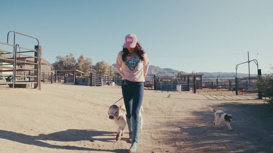 Lexi Lane Micro Mini Heifer $50,000.00