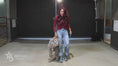 Load and play video in Gallery viewer, Swag – Mid Size Bull Steer

