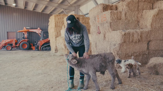 Austin Mid Size Silver Dun Bull/Steer $10,500.00