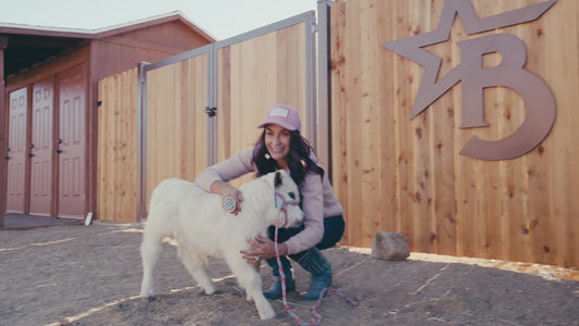 Cool Whip Micro Mini Highpark Bull/Steer $25,000.00